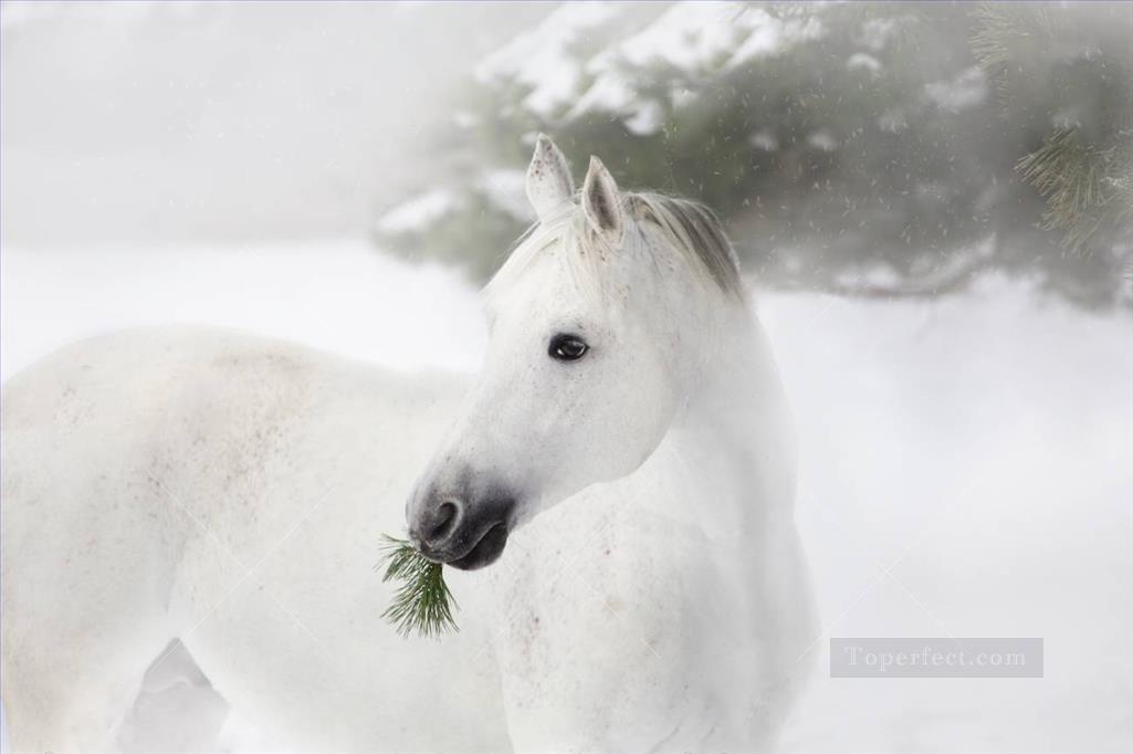 松の木と雪の上の白い馬の肖像画油絵